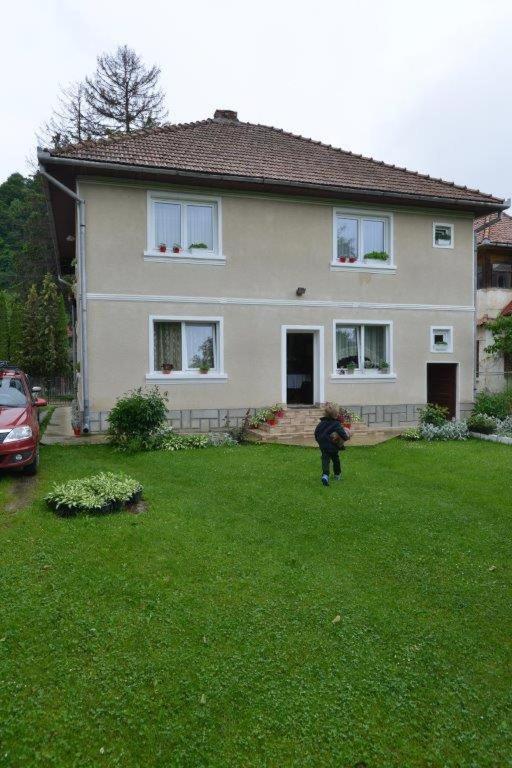 Maison d'hôtes Casa Georgeta à Bran  Extérieur photo